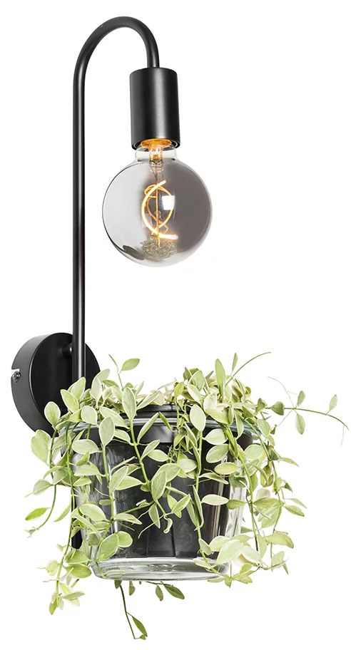 Moderná nástenná lampa čierna so sklom - Roslini