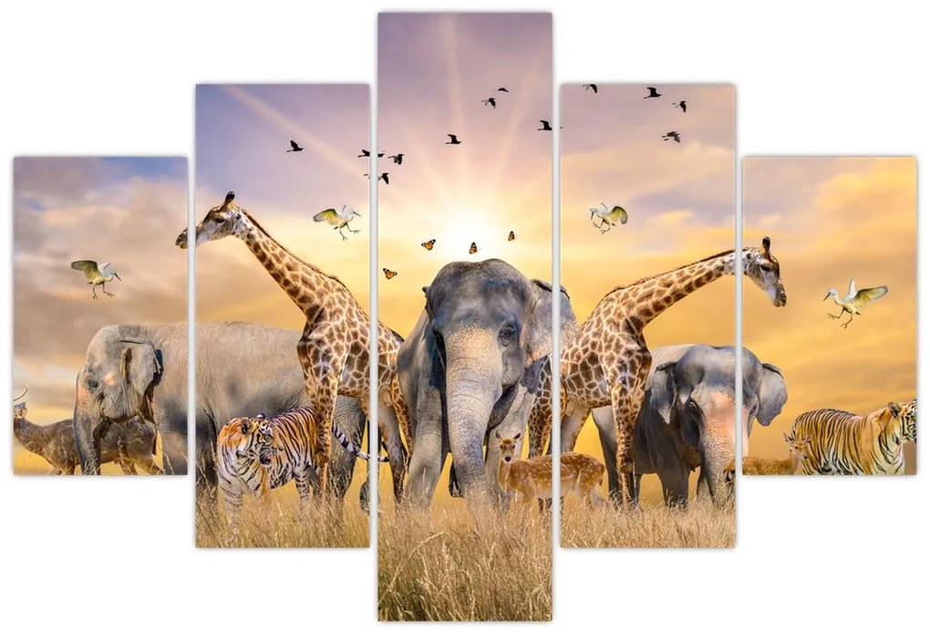 Obraz - safari