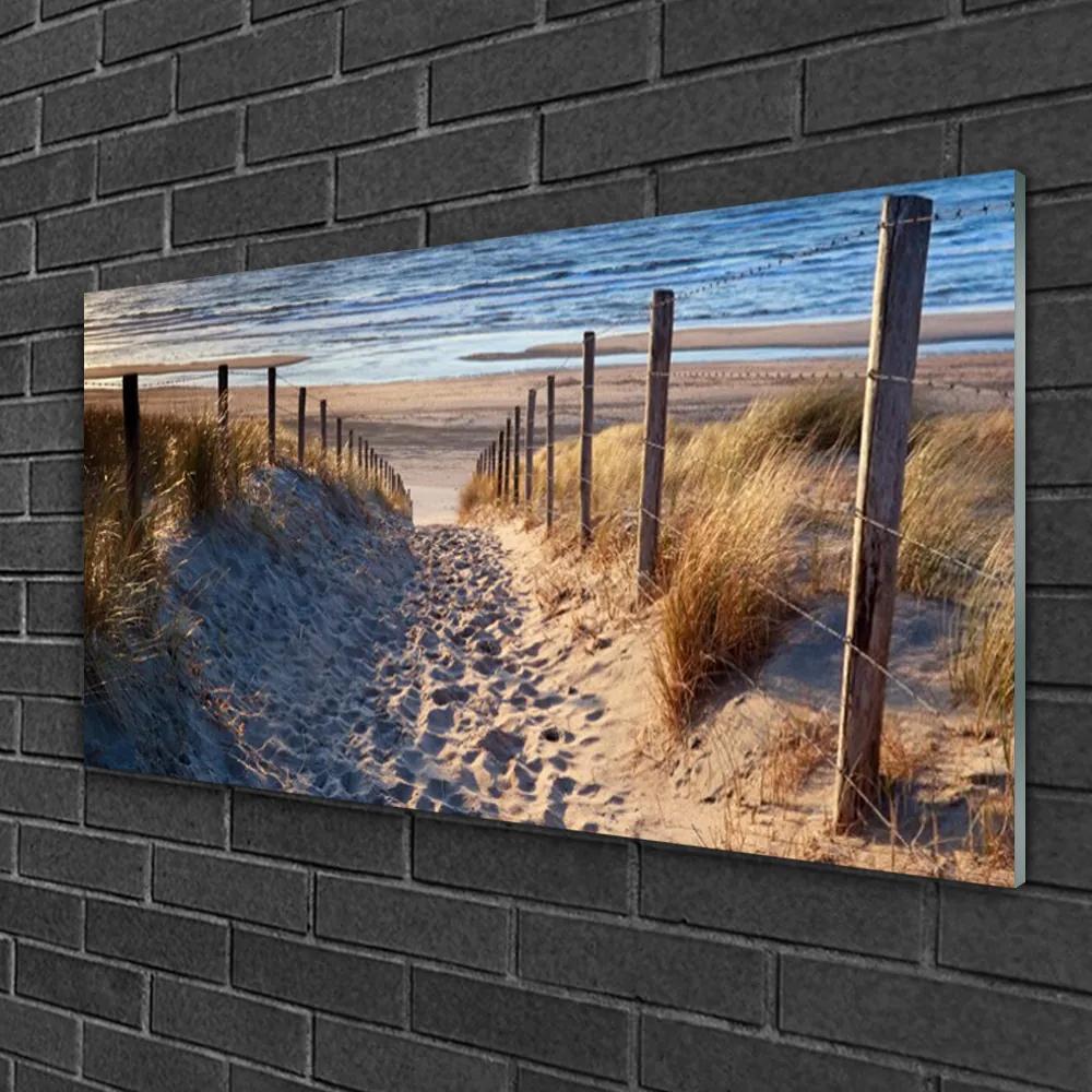 Obraz na skle Chodník more príroda 100x50 cm