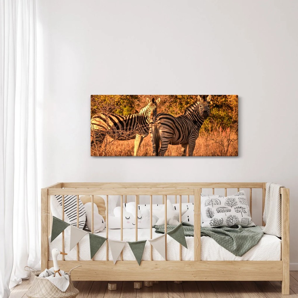 Obraz zebier (120x50 cm)