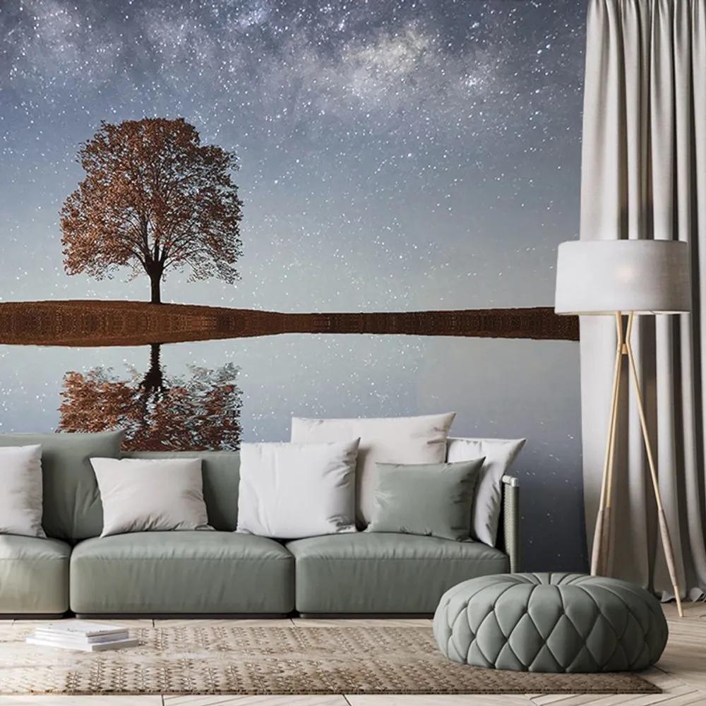 Fototapeta hviezdna obloha nad osamelým stromom - 225x150