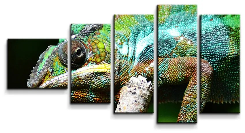 Sablio Obraz - 5-dílný Chameleón - 100x60 cm