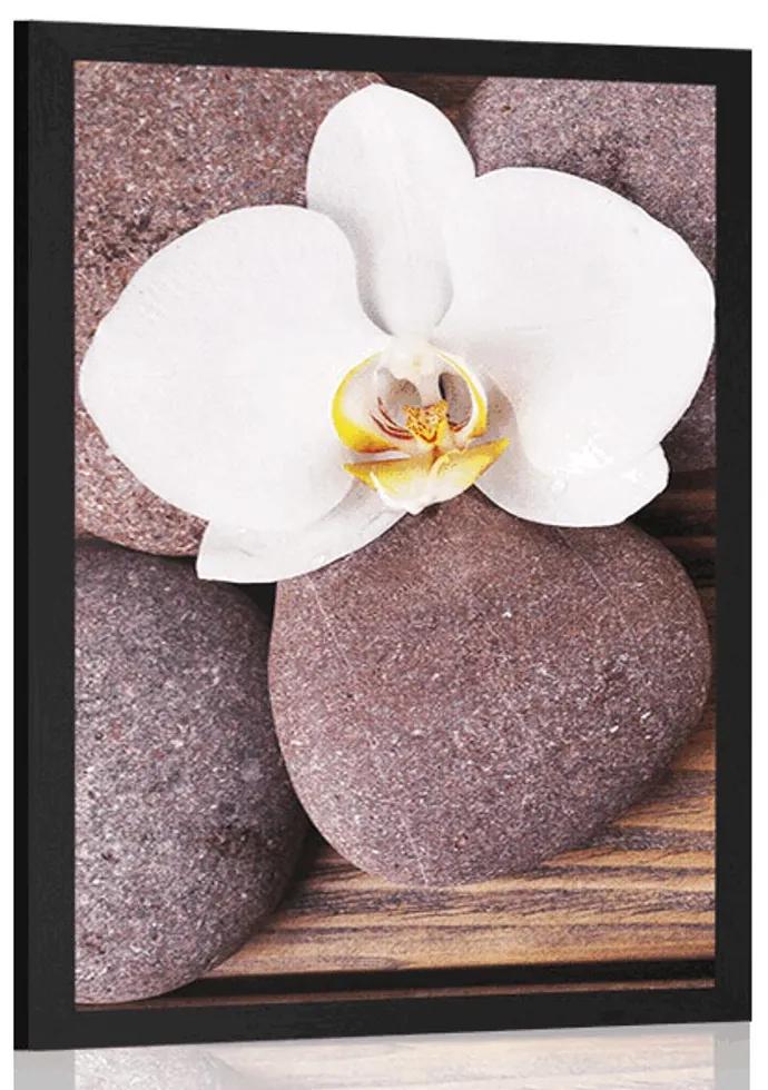 Plagát wellness kamene a orchidea na drevenom pozadí - 30x45 black