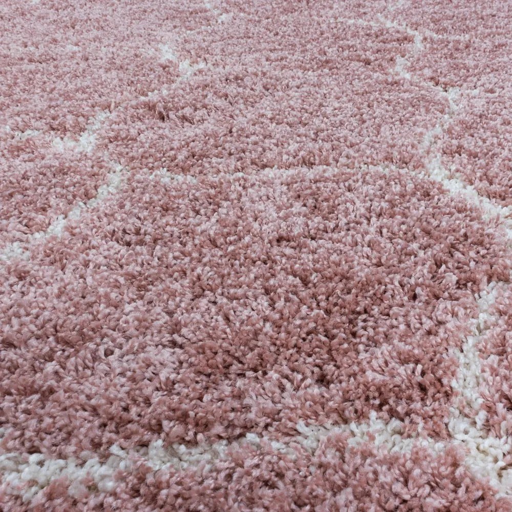 Ružový koberec 160x230 cm Salsa – Ayyildiz Carpets