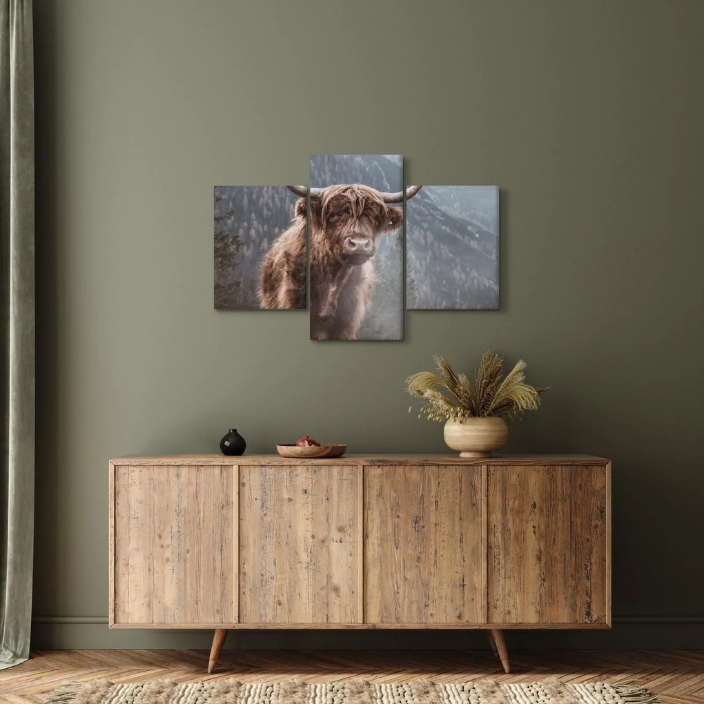 Obraz - Highlander krava (90x60 cm)