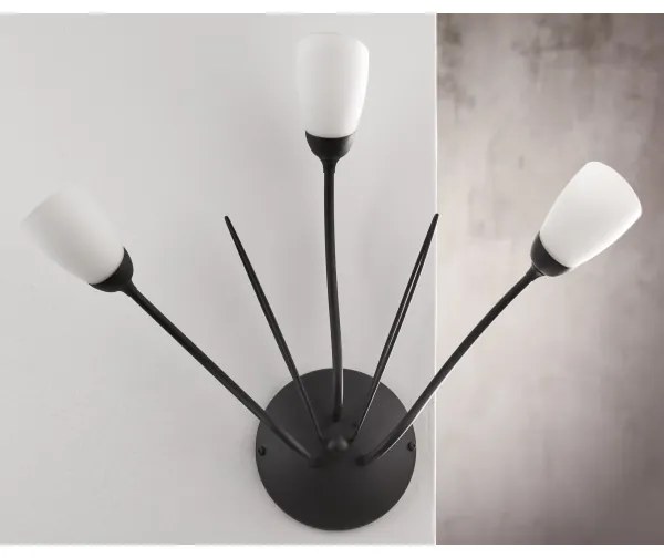 Jupiter 2059 - Nástenné svietidlo GLORIOSA 3xG9/14W/230V čierna