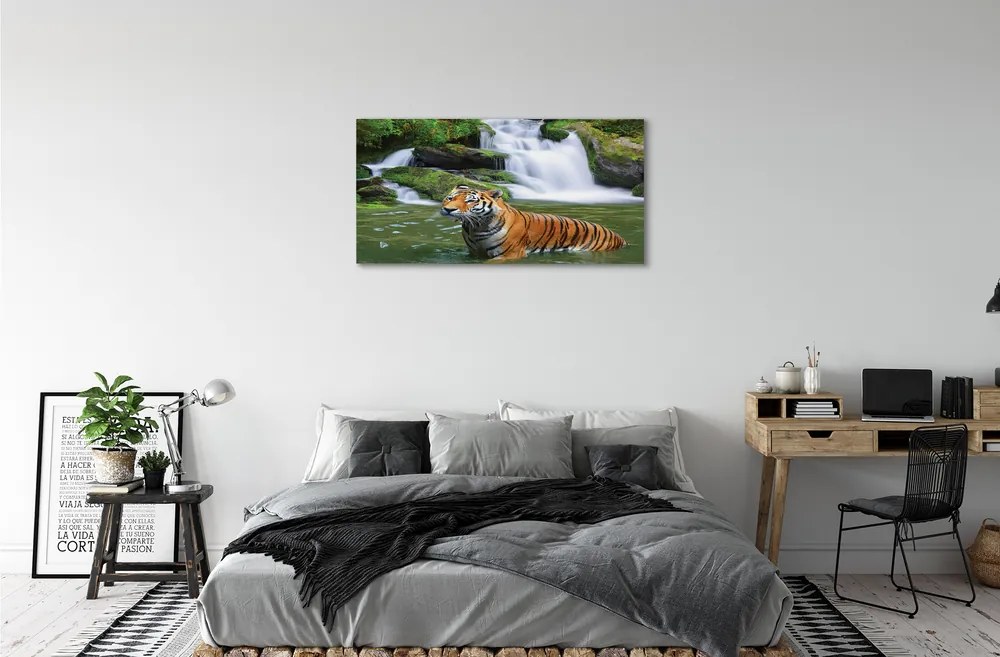 Obraz na plátne tiger vodopád 120x60 cm