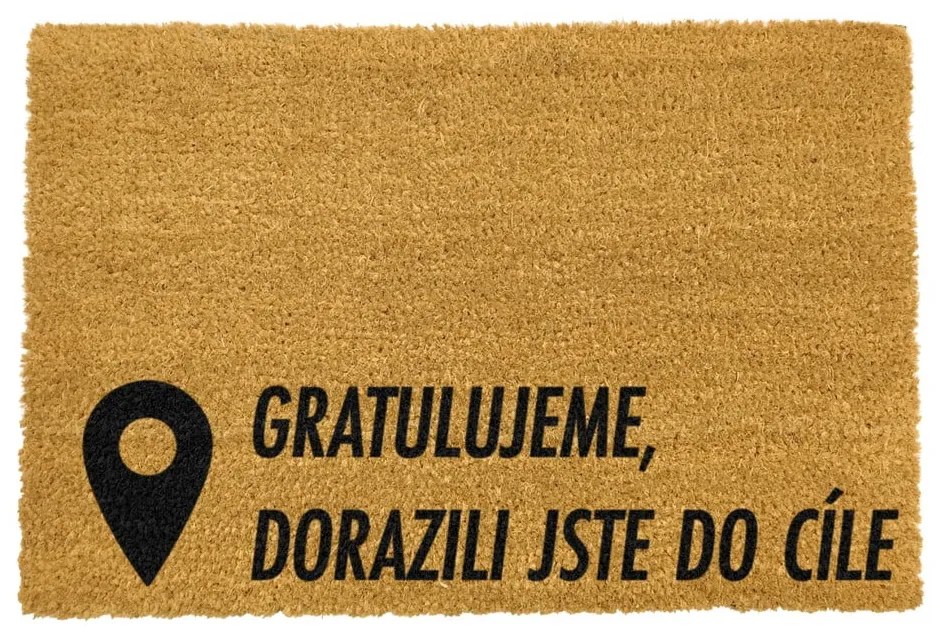 Rohožka z prírodného kokosového vlákna Artsy Doormats Cíl, 40 x 60 cm