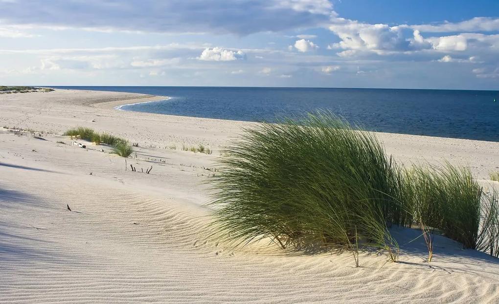 Fototapeta - Pláž Severného mora (254x184 cm)