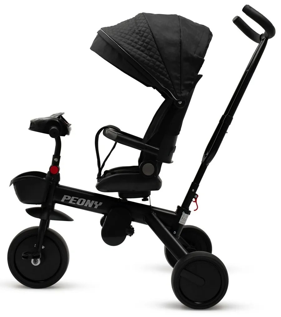 Detská trojkolka Baby Mix Peony EVA čierna