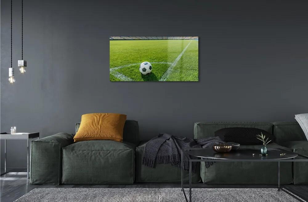 Obraz na skle Futbalový štadión trávy 120x60 cm