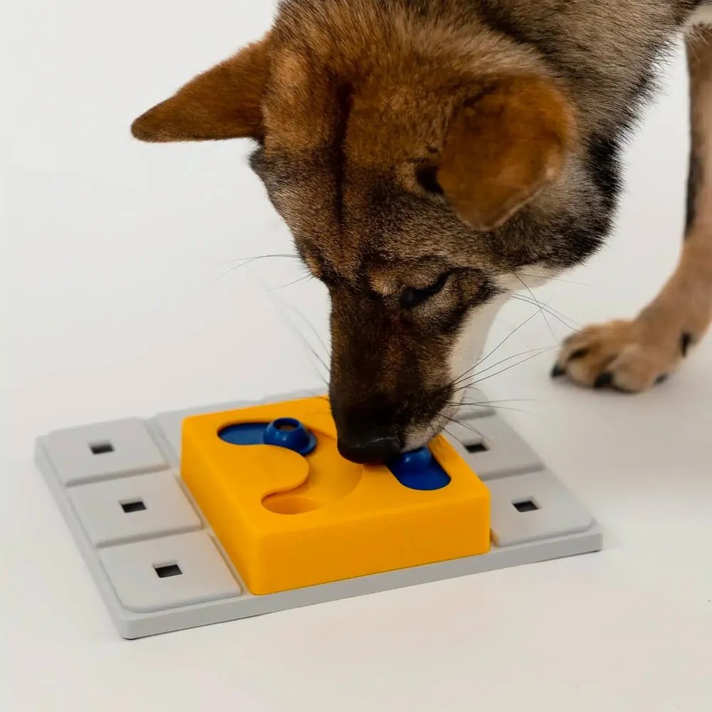 Hlavolam pre psov Kaya – Pawzler