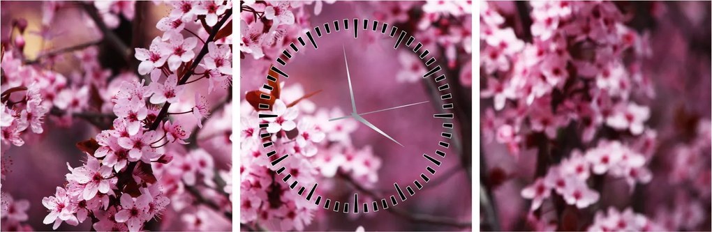 Obraz - Ružová sakura (s hodinami) (90x30 cm)