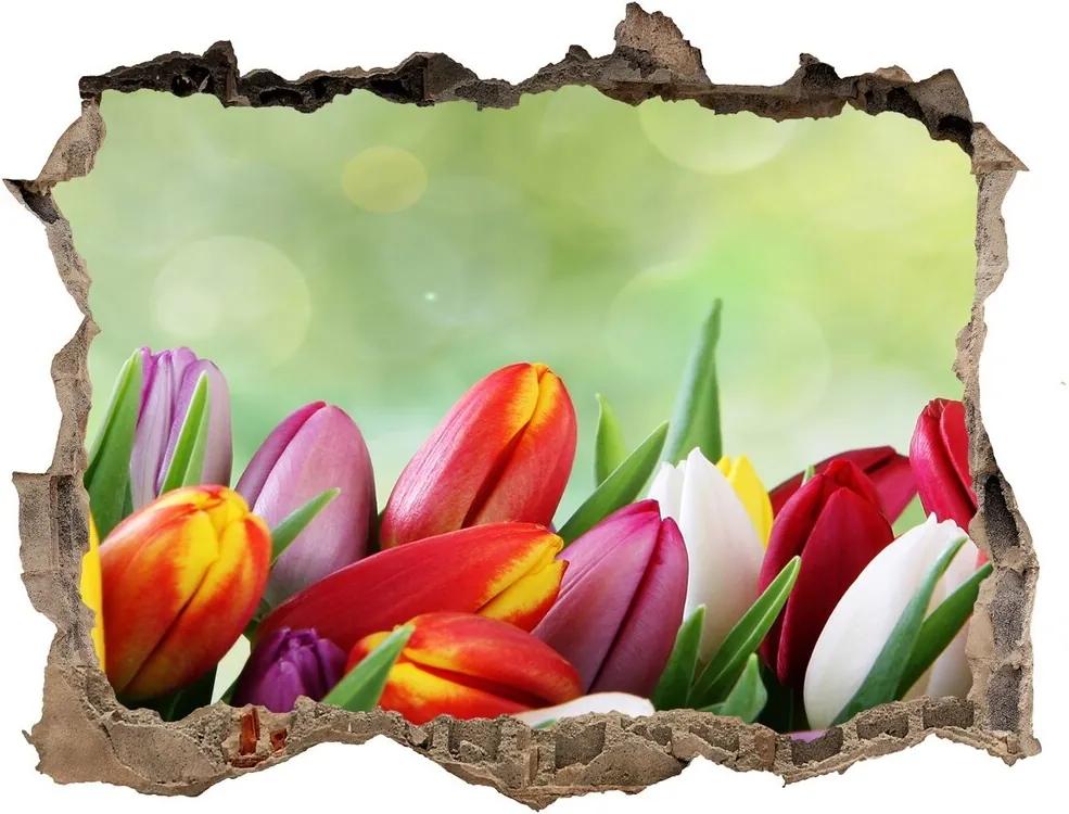 Samolepící díra na stěnu Barevné tulipány WallHole-95x64-kamien-69344290