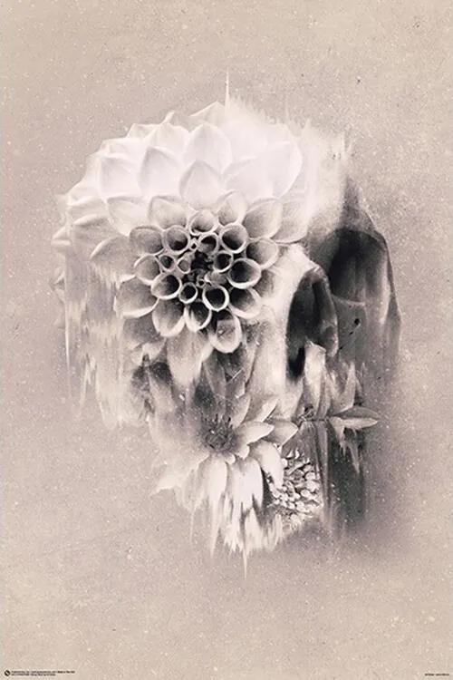 Plagát, Obraz - Ali Gülec - Decay Skull, (61 x 91.5 cm)