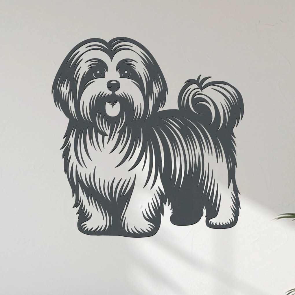 dřevo života Drevený obraz Havanský psík (Havanese) Rozmery - cm: 57x60, Zvoľte farbu dekoru: Dub Sonoma