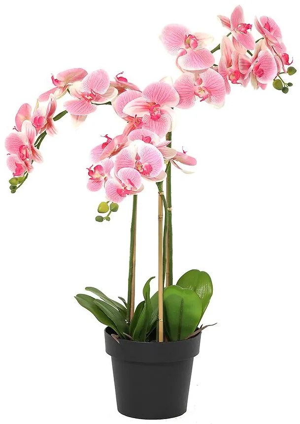Umelá orchidea v kvetináči 80 cm
