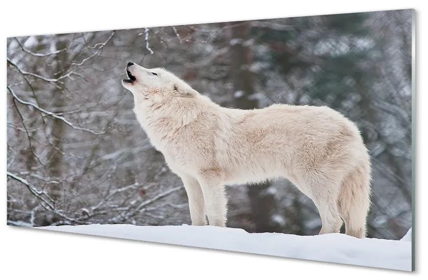 Nástenný panel  Vlk v zime lese 100x50 cm