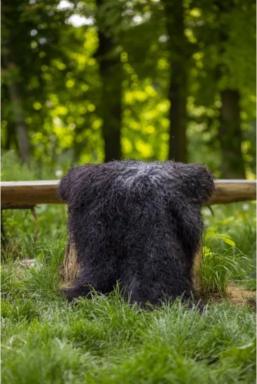 Ovčia kožušina GOTLAND tmavý