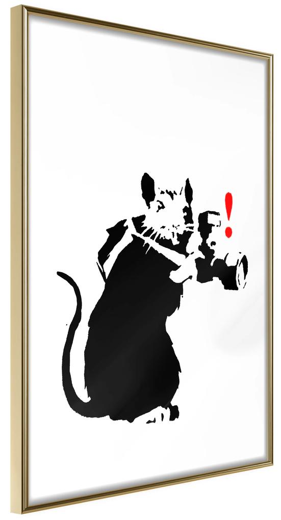 Artgeist Plagát - Rat Photographer [Poster] Veľkosť: 30x45, Verzia: Zlatý rám