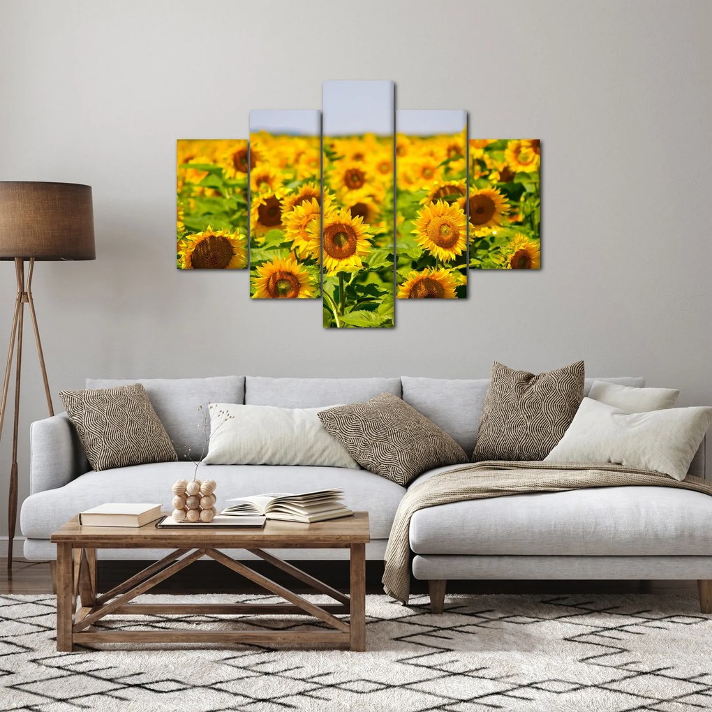 Obraz - Slnečnica (150x105 cm)