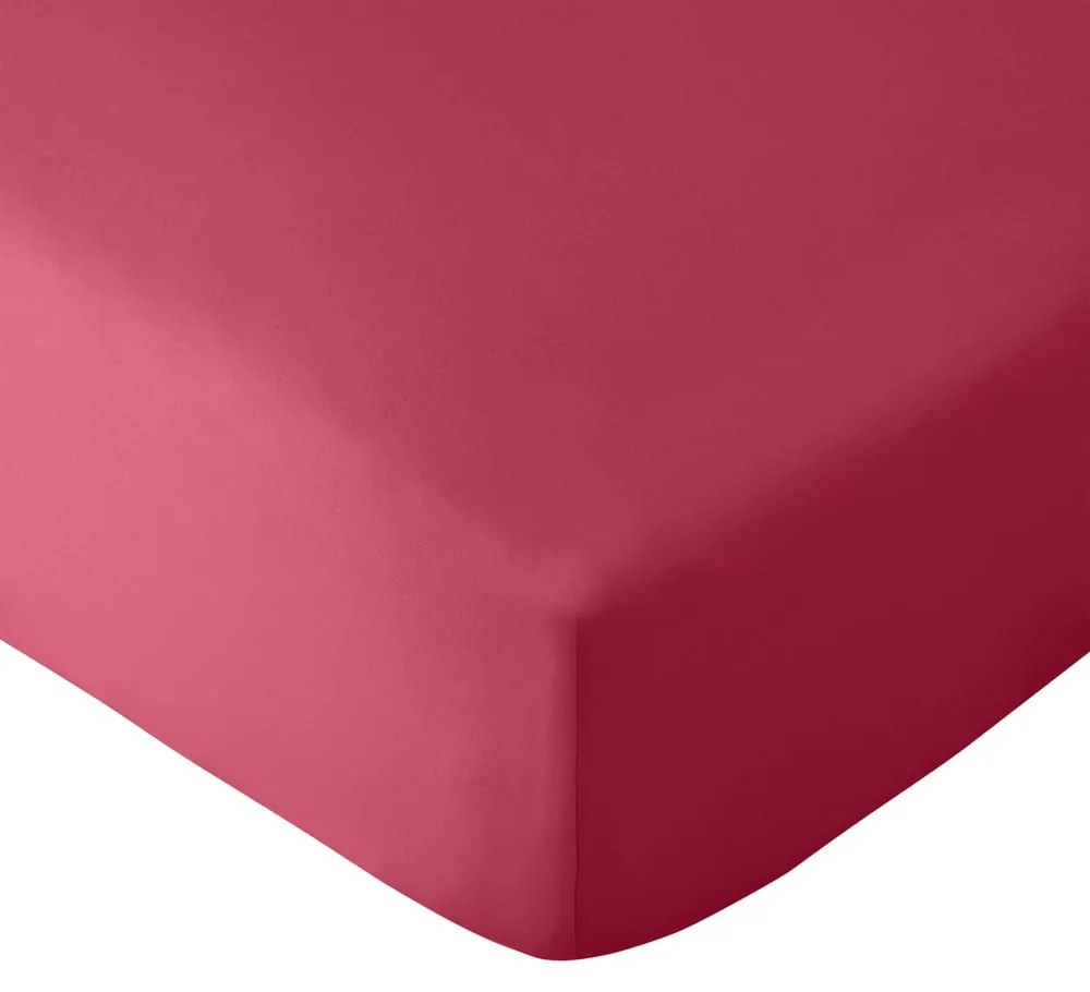 Tmavoružová napínacia plachta z mikrovlákna 185x200 cm So Soft Easy Iron – Catherine Lansfield