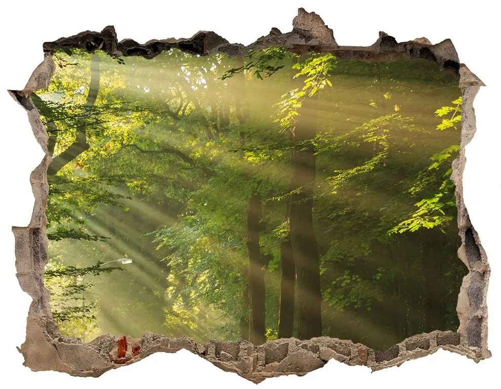 Nálepka fototapeta 3D výhled Forest na slnku nd-k-71351198