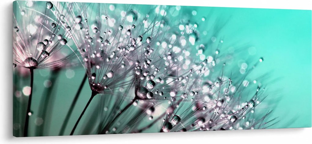 Obraz - orosená rastlina (120x50 cm)