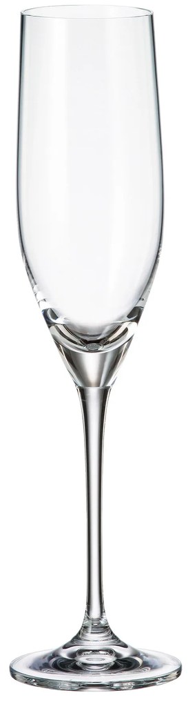 Crystalite Bohemia poháre na šampanské Sitta 240 ml 6KS