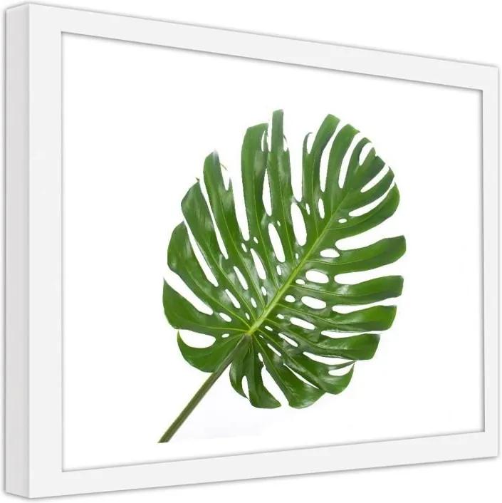 CARO Obraz v ráme - Big Leaf Biela 40x30 cm