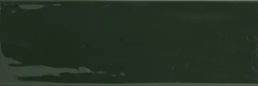 Obklad Rako Compila botanic 10x30 cm lesk GARJD863.1