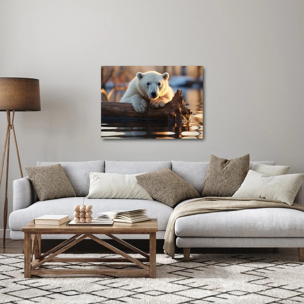 Obraz - Medveď ľadový (70x50 cm)