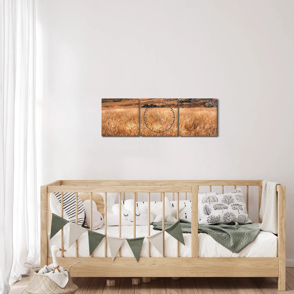 Obraz pole (s hodinami) (90x30 cm)