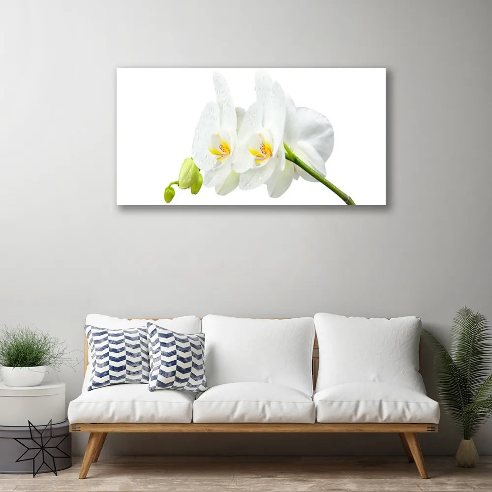 Obraz Canvas Plátky kvet bíla orchidea 125x50 cm