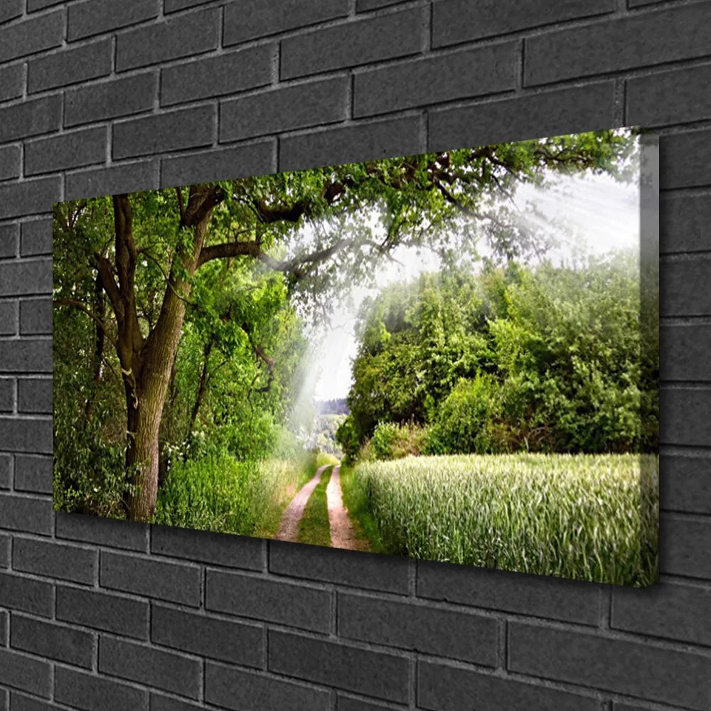 Obraz Canvas Stromy chodník príroda 125x50 cm