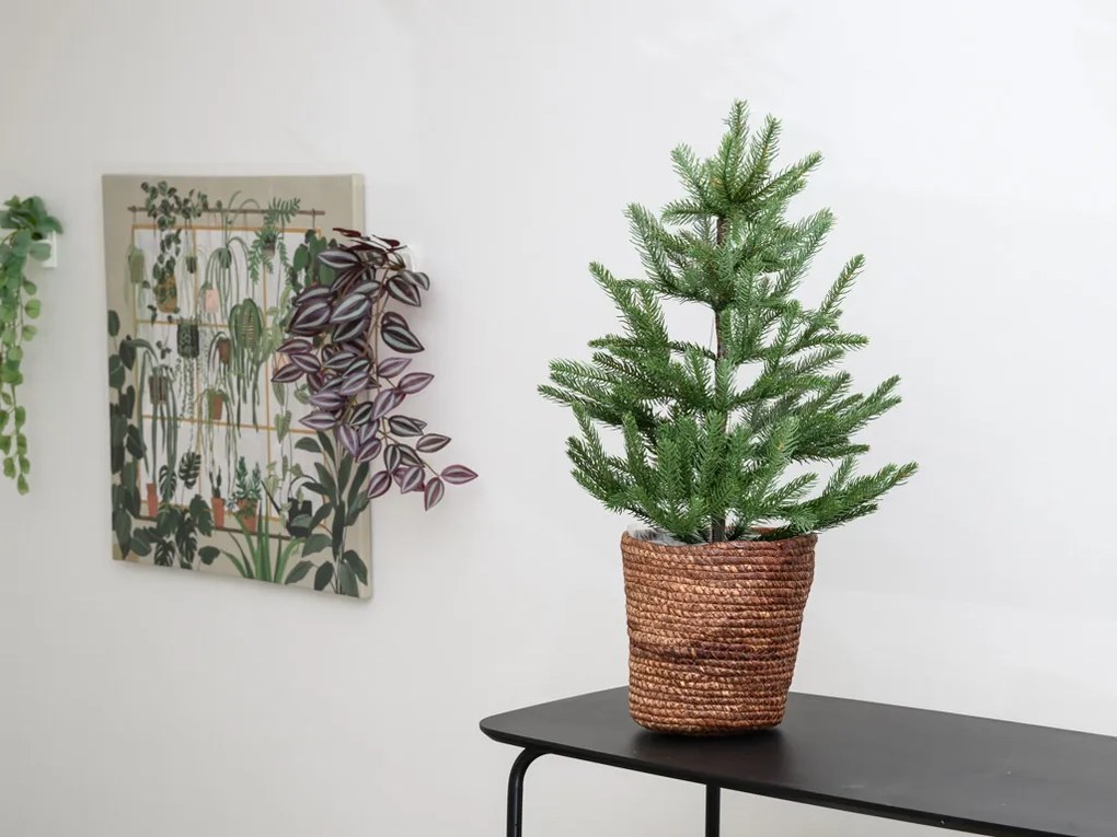 Kvetináč z morskej trávy SEAGRASS BASKET 20 cm