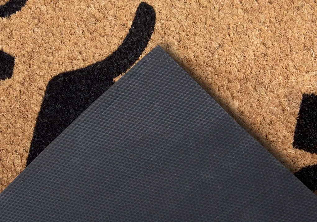 Rohožka Welcome madafakas 105668 – na von aj na doma, 45x75, hnedá, chodba / predsieň, Hanse Home