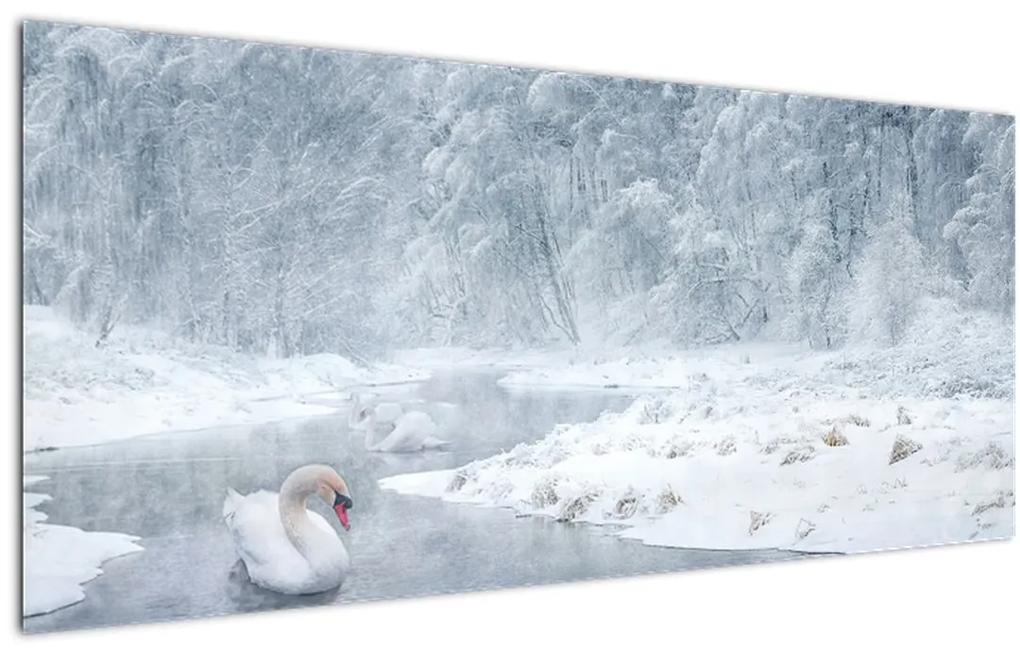 Obraz labutí (120x50 cm)
