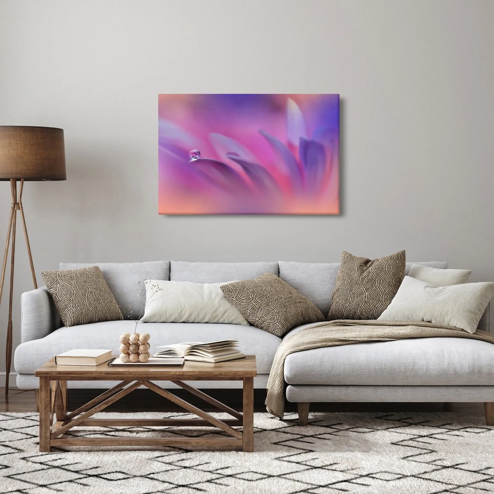 Obraz - Kvapka na kvete (90x60 cm)