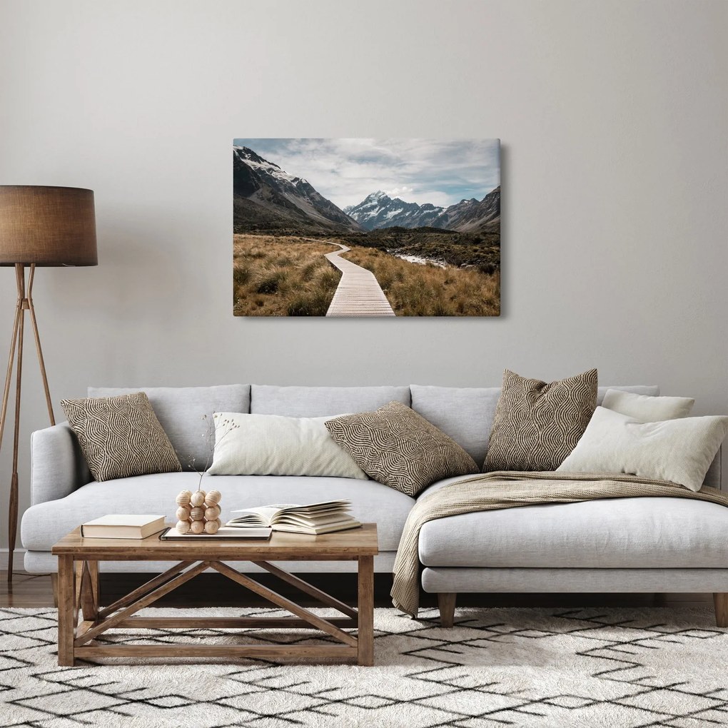 Obraz - Chodník v údolí hory Mt. Cook (90x60 cm)