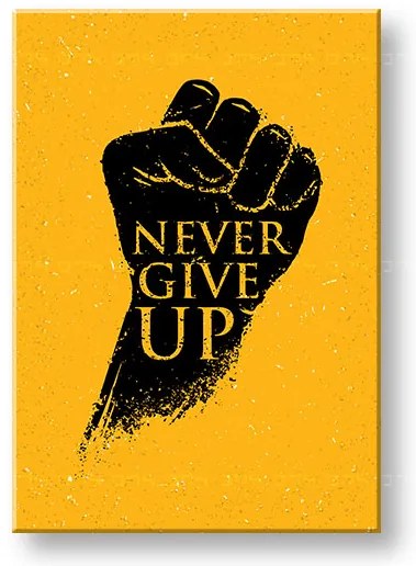 Motivačný obraz na stenu Never give up | rôzne rozmery
