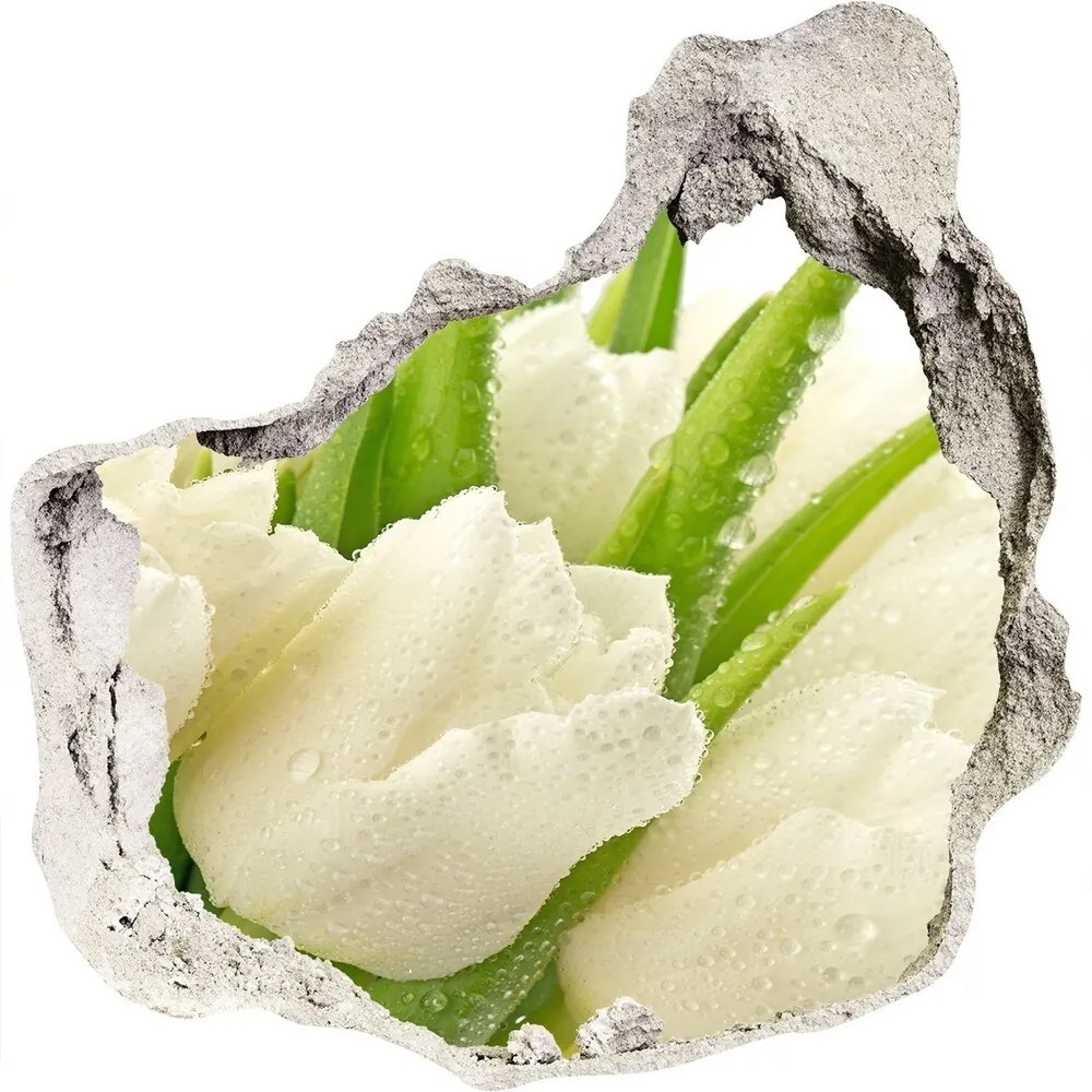 Samolepiaca nálepka na stenu Biele tulipány nd-p-49549577