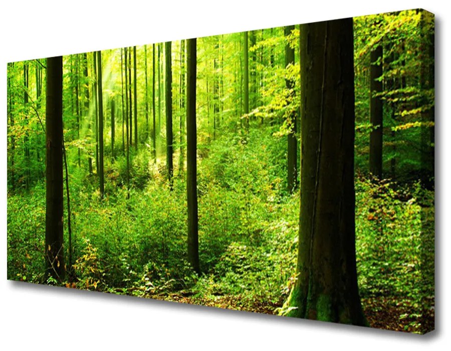 Obraz Canvas Les zeleň stromy príroda 125x50 cm