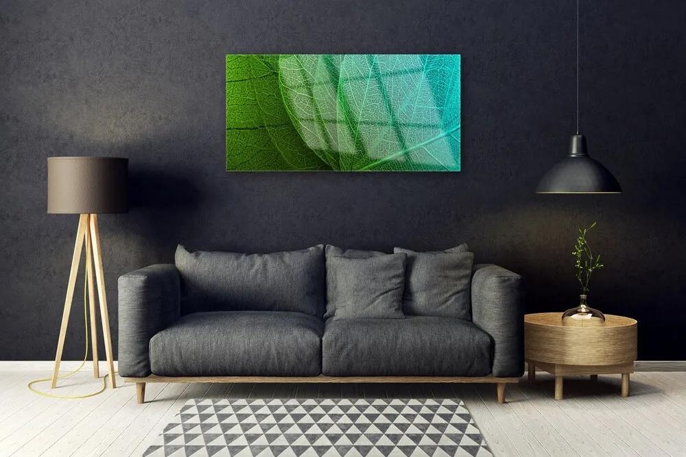 Obraz na akrylátovom skle Abstrakcie listy rastlina 100x50 cm