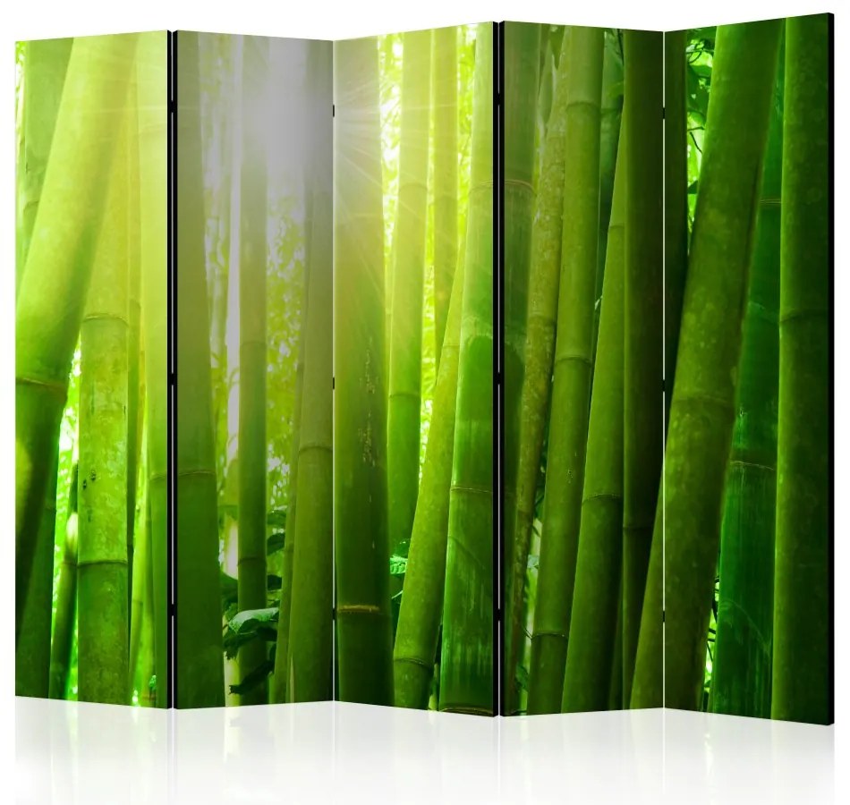 Artgeist Paraván - Sun and bamboo [Room Dividers]