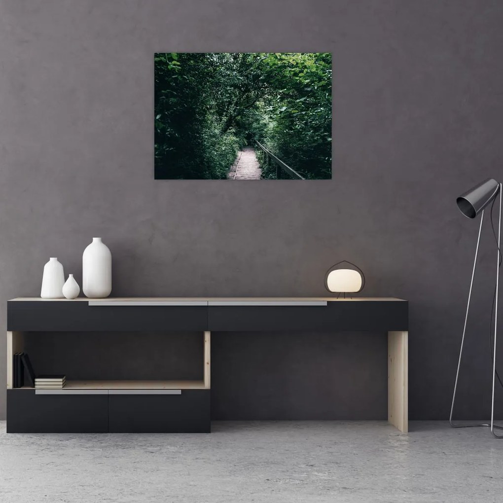Obraz - Cesta lesom (70x50 cm)