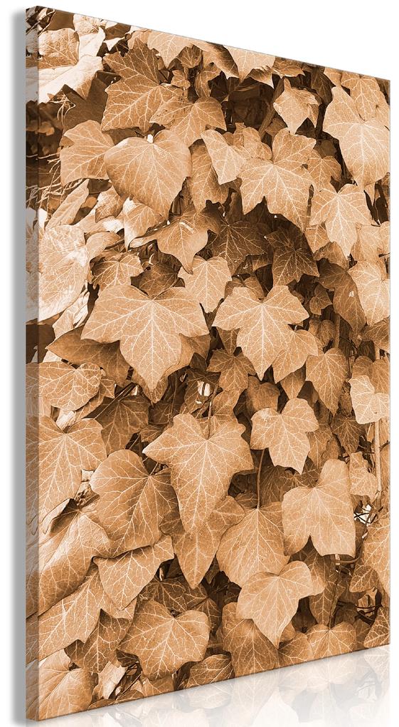Artgeist Obraz - Autumn Ivy (1 Part) Vertical Veľkosť: 60x90, Verzia: Na talianskom plátne