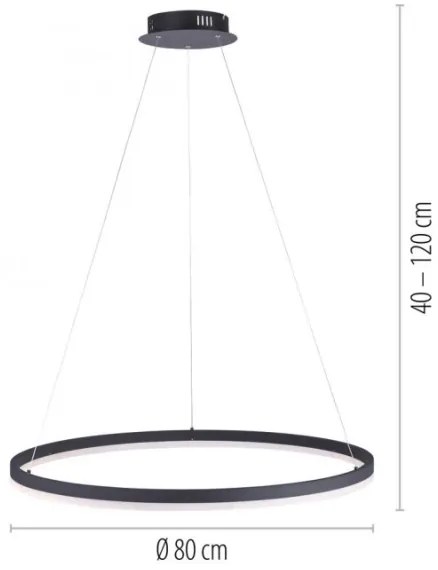 Paul Neuhaus 2383-13 - LED Stmievateľný luster na lanku TITUS LED/50W/230V
