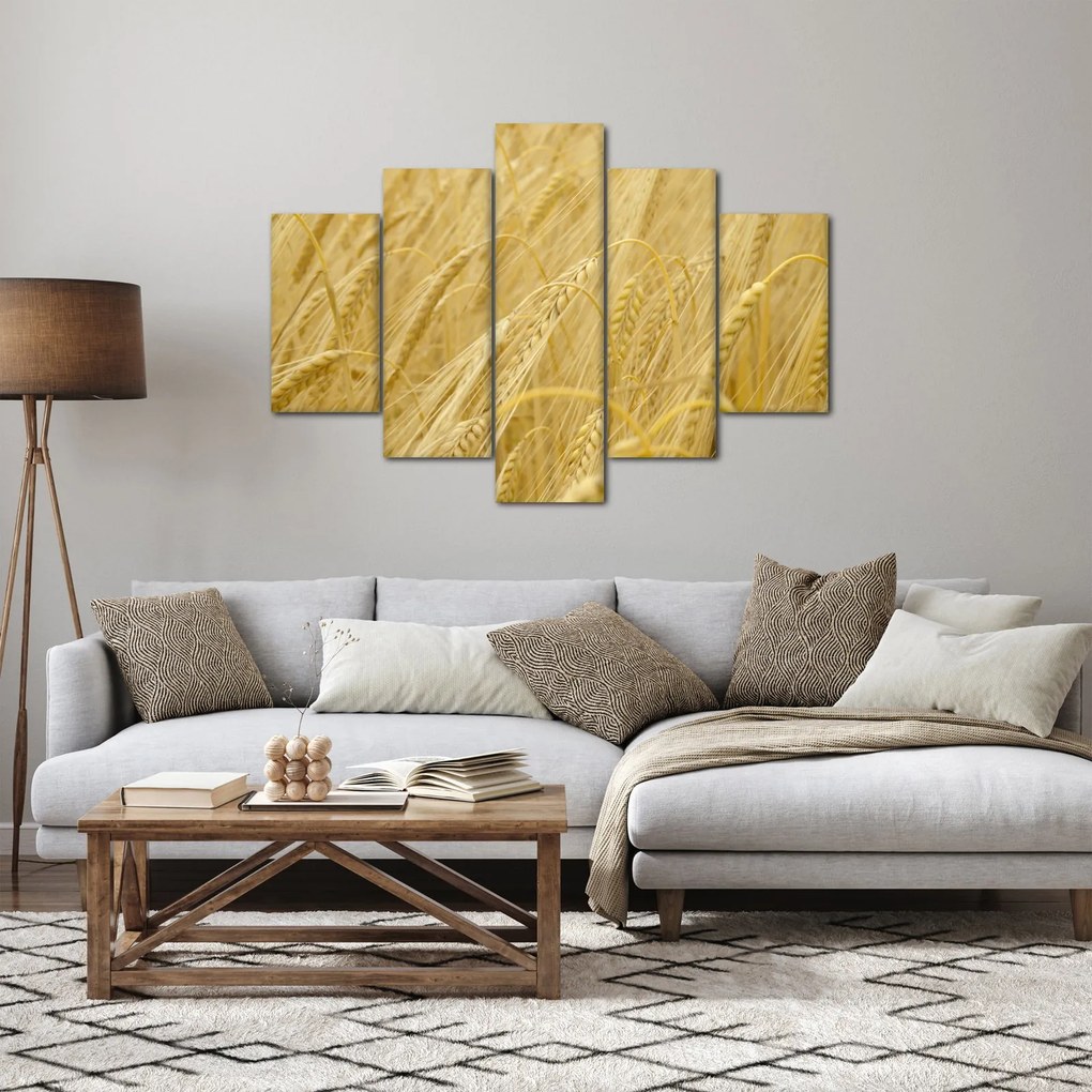 Obraz - Jačmeň (150x105 cm)