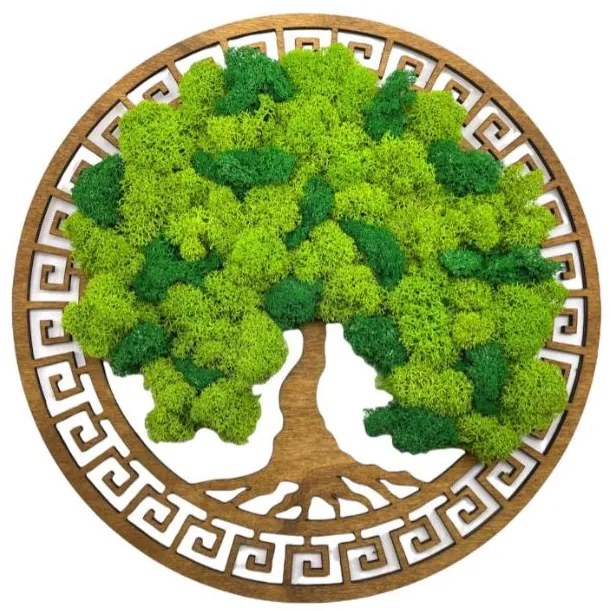 Strom na stenu z machu Excalibur 30 cm